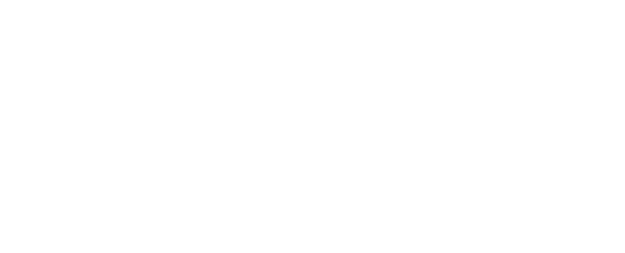 Avisen Strategies Capital Intelligence & Investor Strategy
